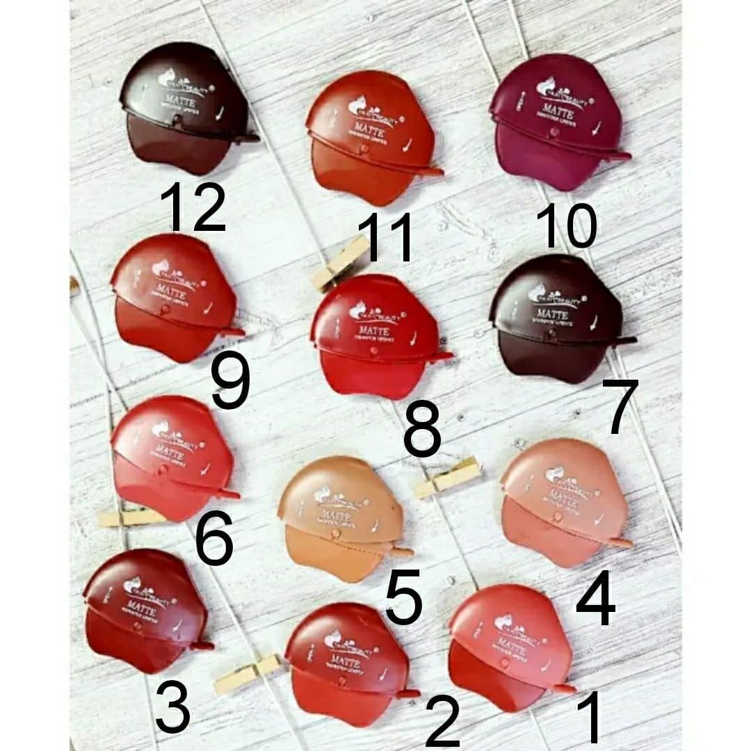 Matte Finish Lipstick Set – Pack of 6 Shades