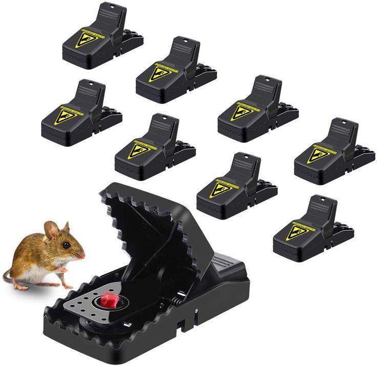Effective Plastic Mouse Trap – Quick Rodent Control