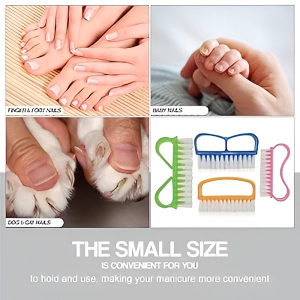 Nail Brush Set with Handle – Pack of 3 (Random Colors)